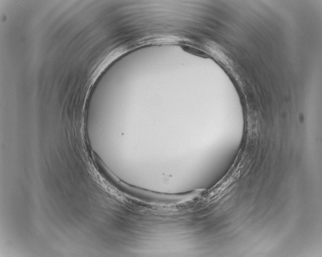 X0000058121194200510171302