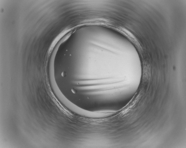 X0000058121196200510171302