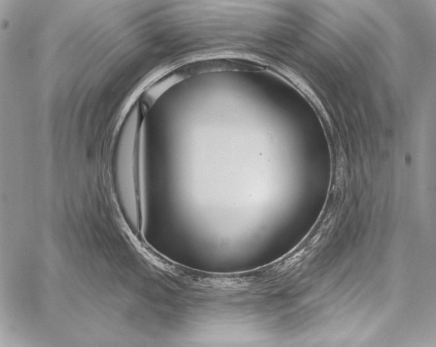 X0000058121197200510171302