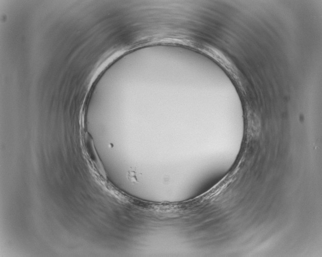 X0000058121198200510171302