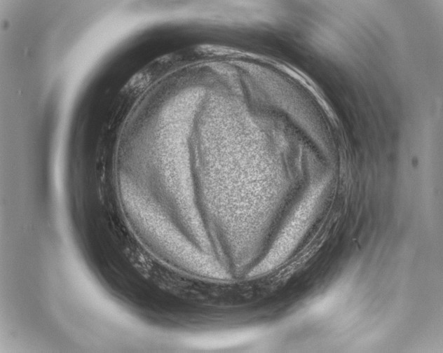 X0000058121199200510171302