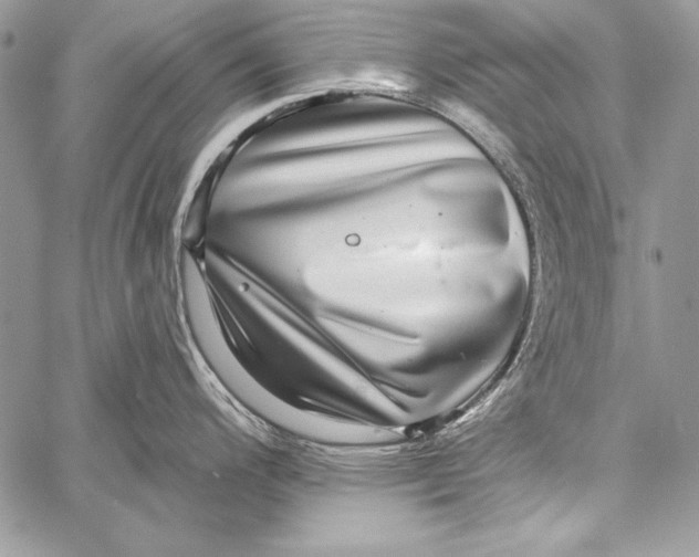 X0000058121200200510171302