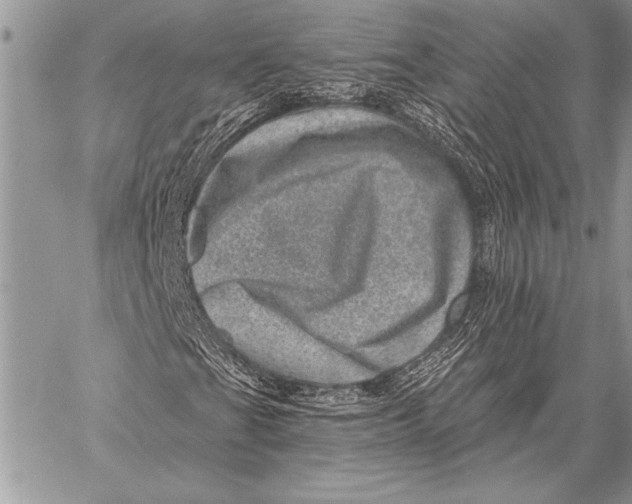 X0000058121201200510171301