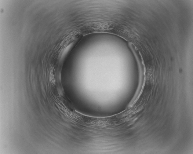 X0000058121202200510171301