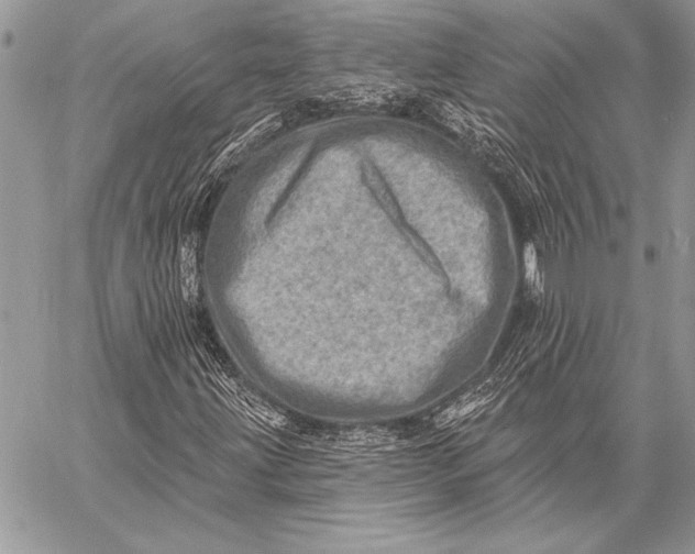 X0000058121203200510171301