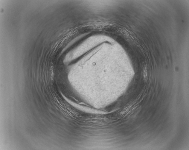 X0000058121204200510171301