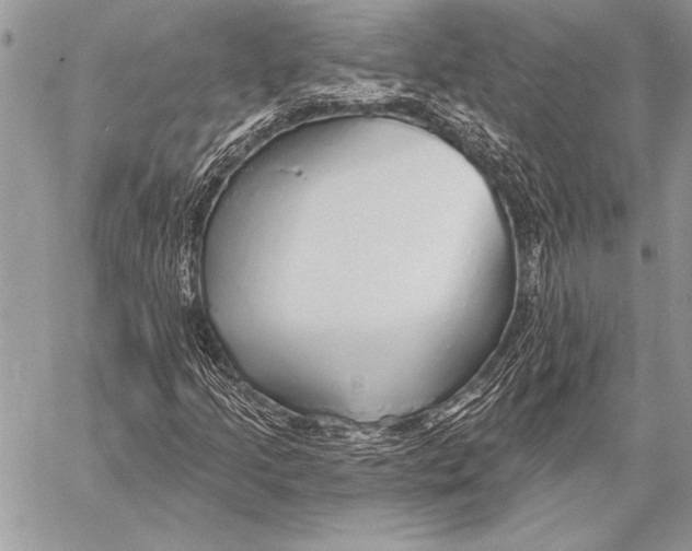 X0000058121205200510171301