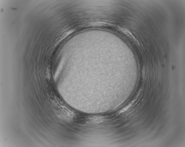 X0000058121209200510171301