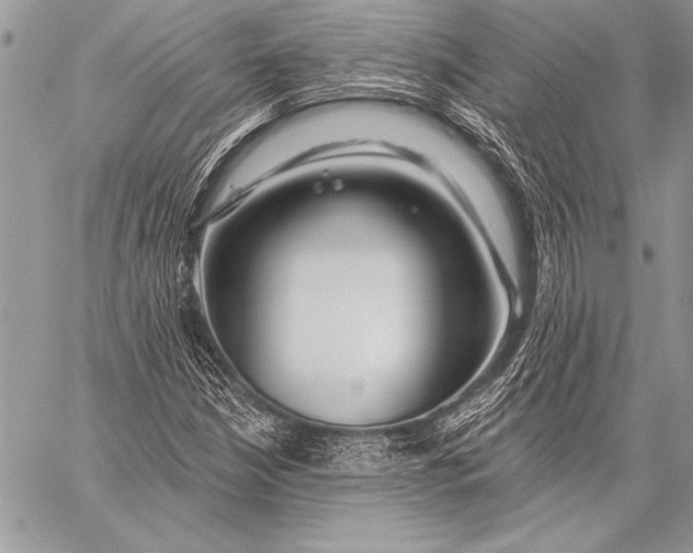 X0000058121210200510171301