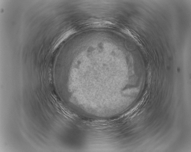 X0000058121211200510171301