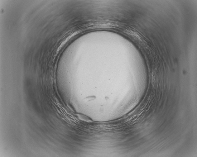 X0000058121212200510171301