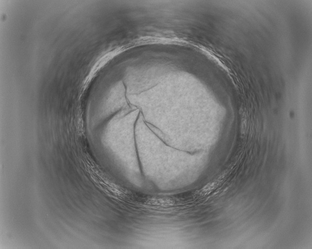 X0000058121215200510171301