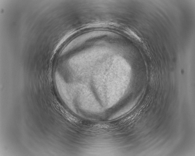 X0000058121216200510171301