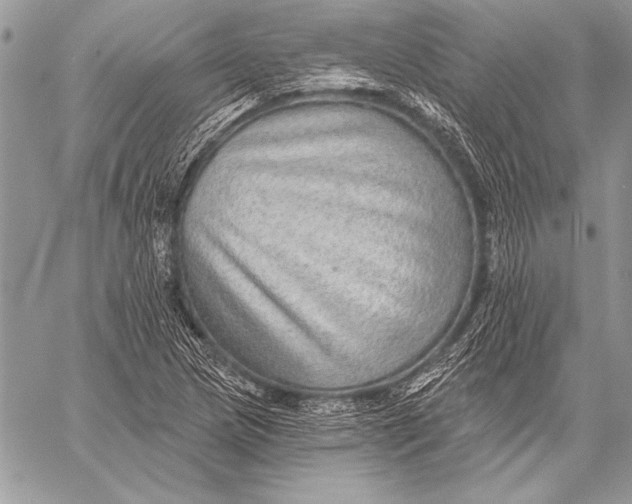 X0000058121217200510171301