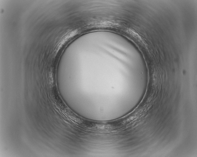 X0000058121218200510171301