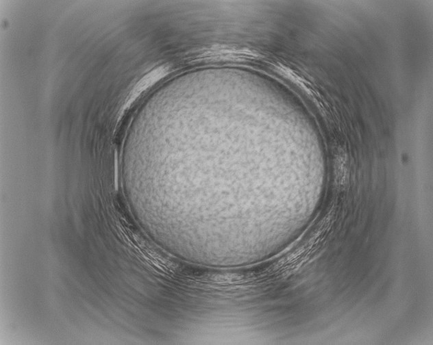 X0000058121219200510171301