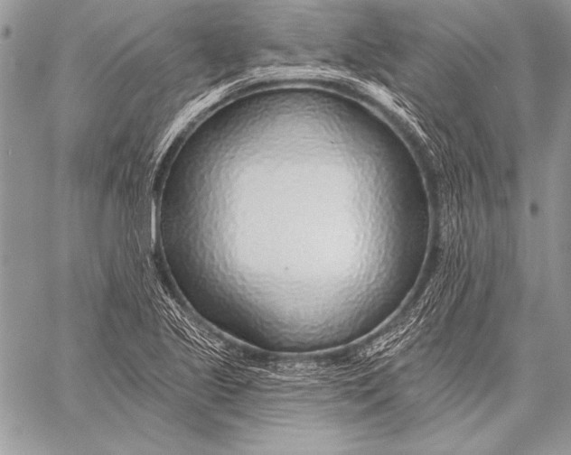 X0000058121221200510171301