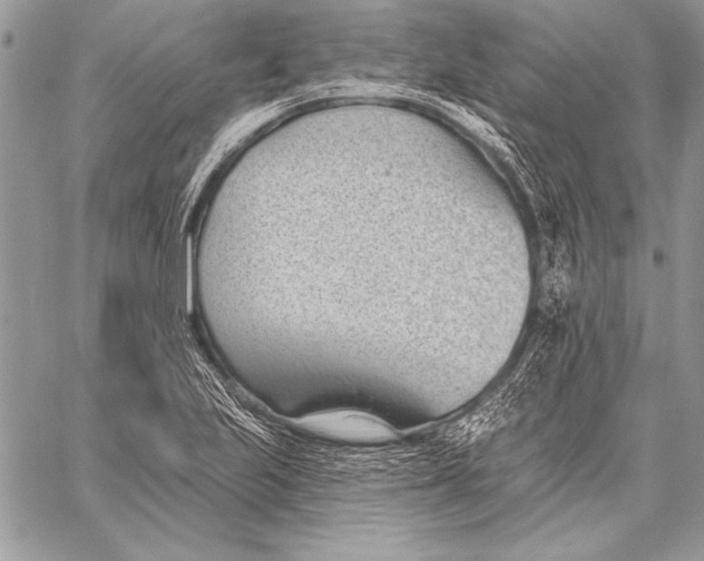 X0000058121223200510171301