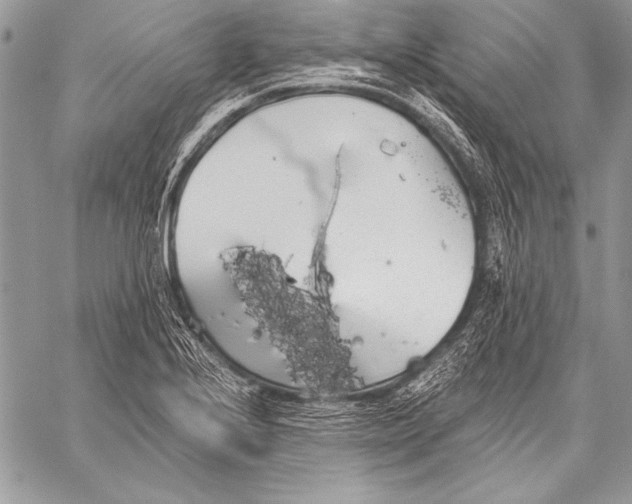 X0000058121224200510171301