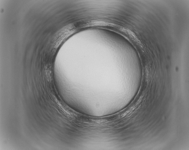 X0000058121225200510171302