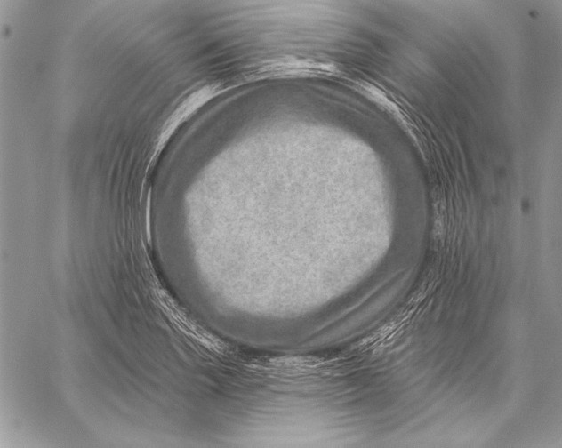 X0000058121227200510171302