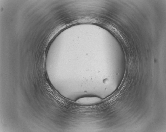 X0000058121228200510171302