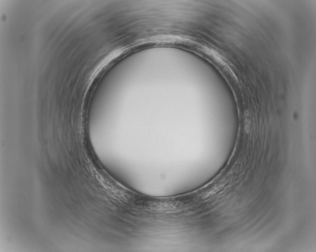 X0000058121229200510171302