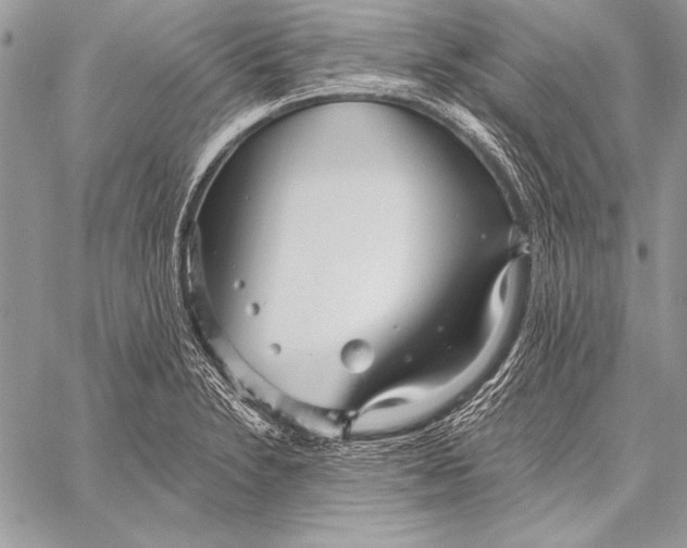 X0000058121230200510171302