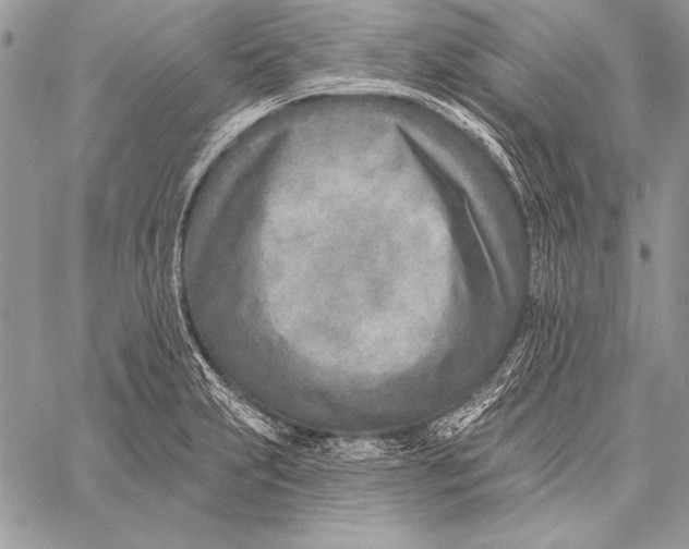 X0000058121231200510171302