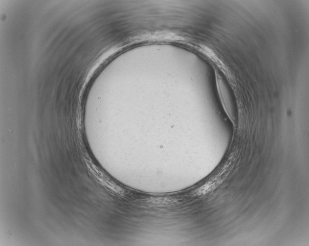 X0000058121232200510171302