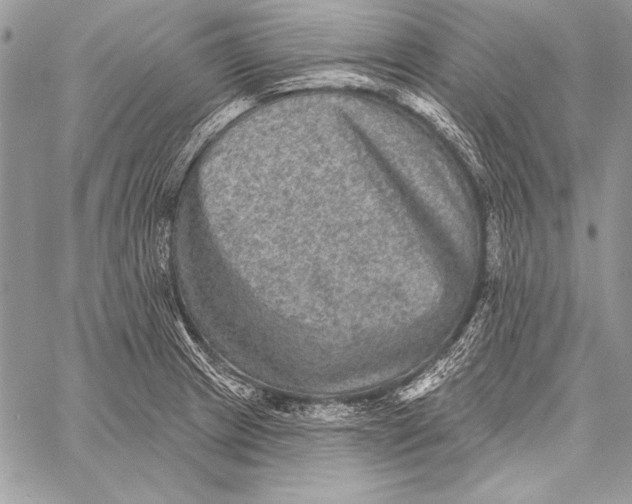 X0000058121233200510171302