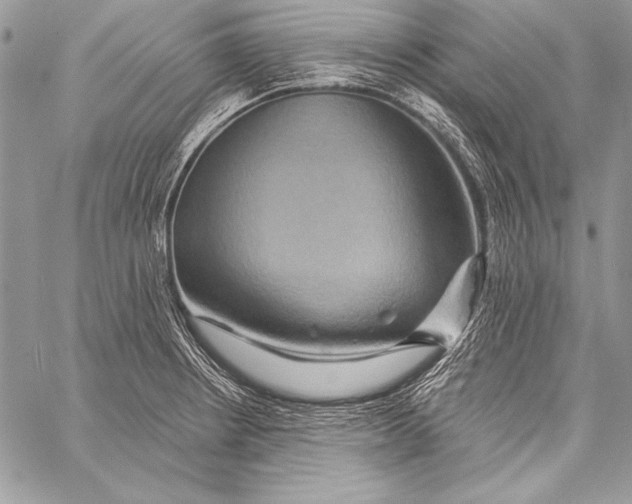 X0000058121234200510171302