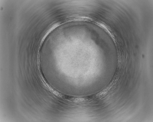 X0000058121235200510171302