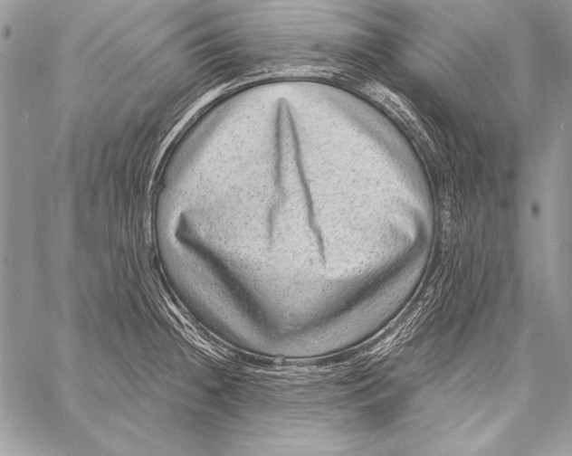 X0000058121236200510171302