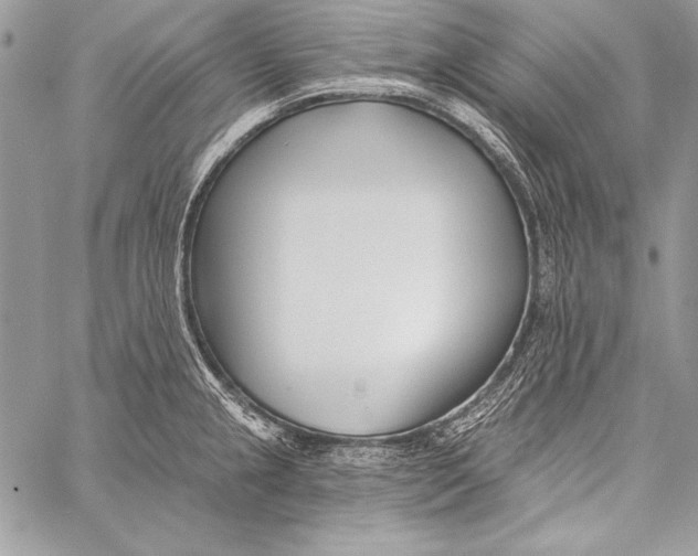 X0000058121237200510171302