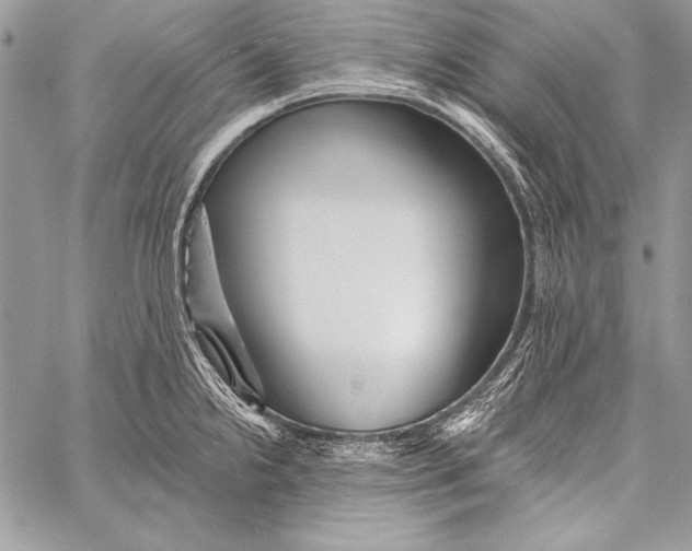 X0000058121238200510171302