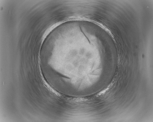 X0000058121239200510171302