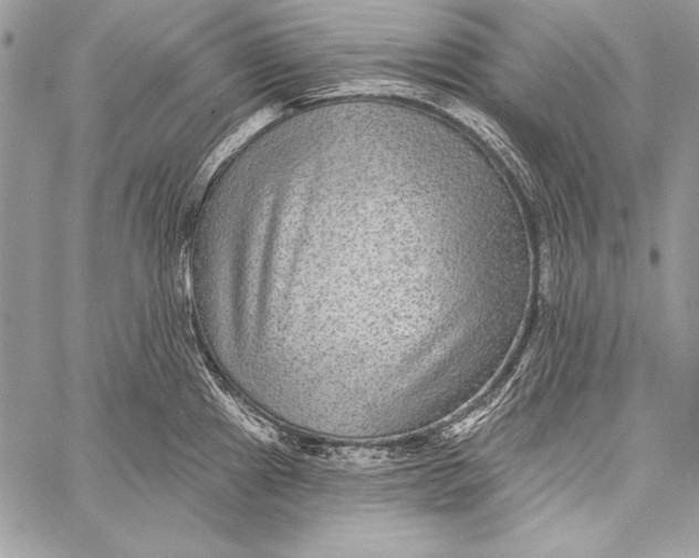 X0000058121241200510171302