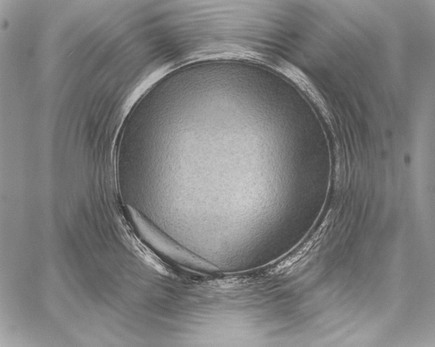 X0000058121242200510171302