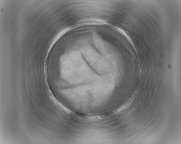 X0000058121243200510171302