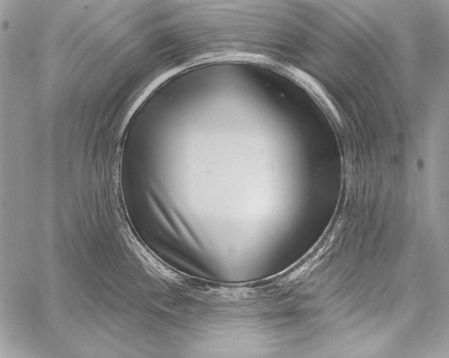 X0000058121244200510171302