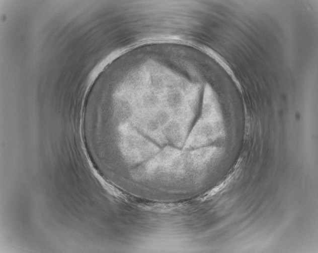 X0000058121245200510171302