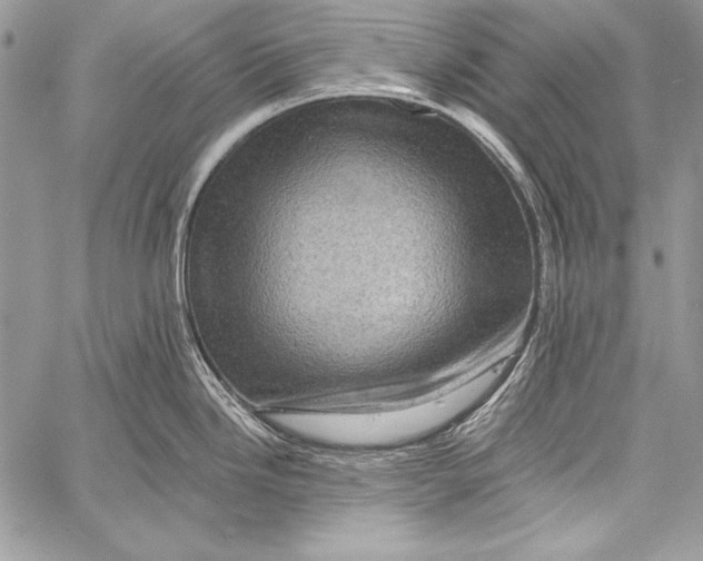 X0000058121246200510171302