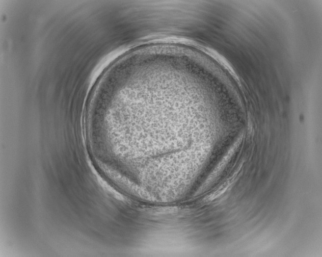 X0000058121247200510171302