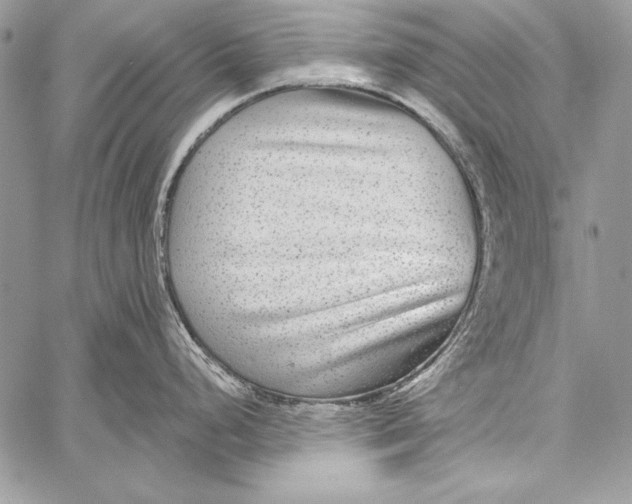 X0000058121248200510171302