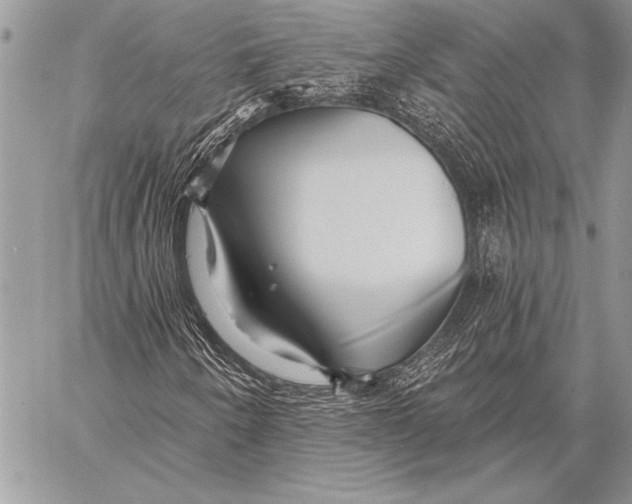 X0000058121250200510171301