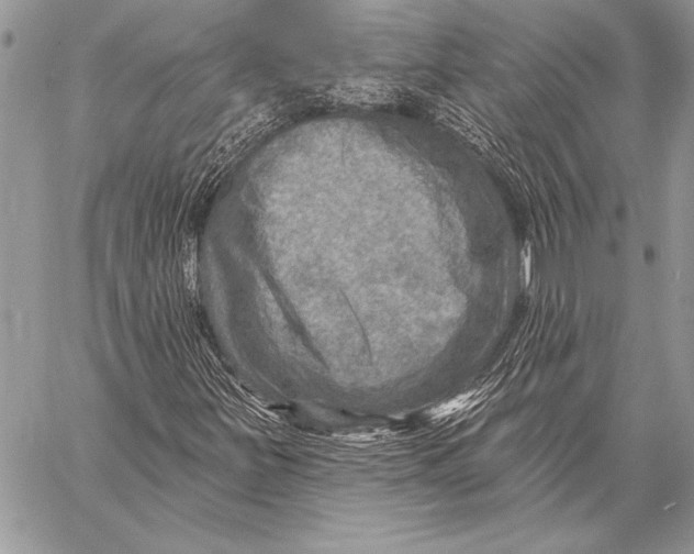 X0000058121251200510171301