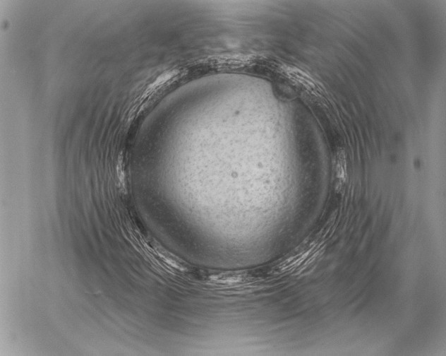 X0000058121252200510171301