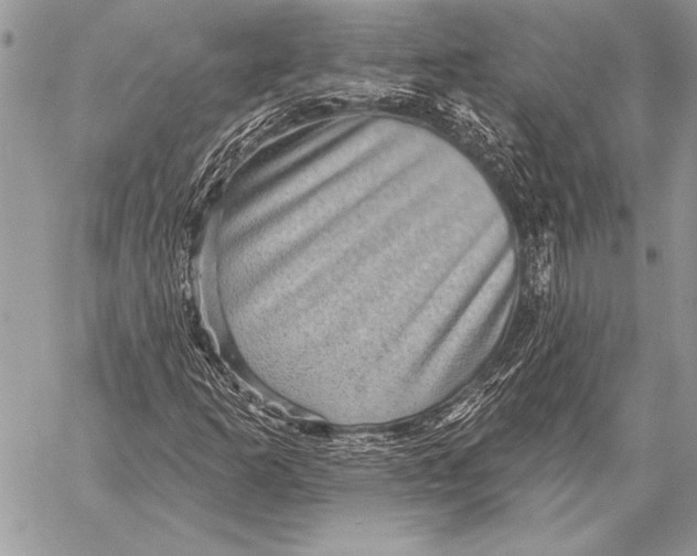 X0000058121253200510171301