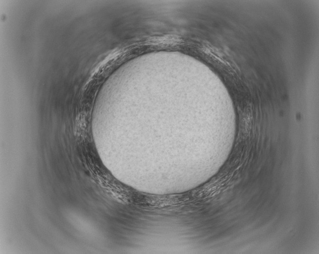 X0000058121254200510171301